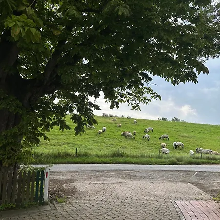Reet-denkmal Am Elbstrand Lägenhet *