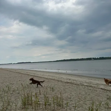 Lägenhet Reet-denkmal Am Elbstrand *