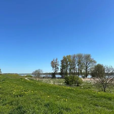 Reet-denkmal Am Elbstrand Lägenhet *