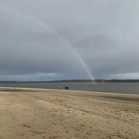 Reet-denkmal Am Elbstrand *